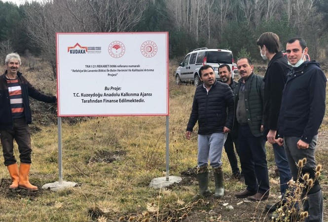 İlçemiz Akarsu Köyünde Lavanta